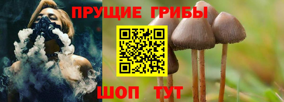 Анжеро-Судженск  Псилоцибиновые грибы MAGIC MUSHROOMS  Псилоцибиновые грибы мицелий  Вход с VPN 